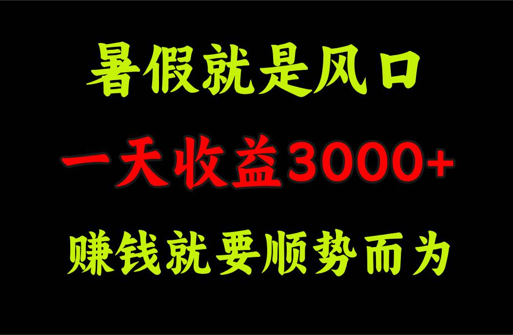 （11670期）一天收益3000+ 赚钱就是顺势而为，暑假就是风口-讯领网创