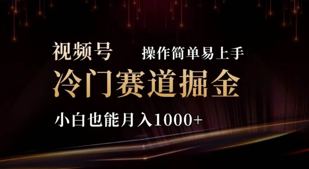 （11378期）2024视频号冷门赛道掘金，操作简单轻松上手，小白也能月入1000+-讯领网创