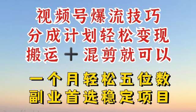 视频号爆流技巧，分成计划轻松变现，搬运 +混剪就可以，一个月轻松五位数稳定项目【揭秘】-讯领网创