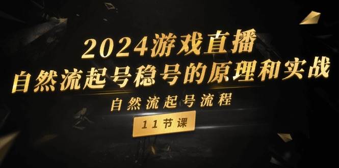 （11653期）2024游戏直播-自然流起号稳号的原理和实战，自然流起号流程（11节）-讯领网创