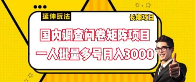 图片[1]-国内调查问卷矩阵项目，一人批量多号月入3000【揭秘】-讯领网创