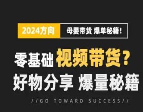 短视频母婴赛道实操流量训练营，零基础视频带货，好物分享，爆量秘籍-讯领网创