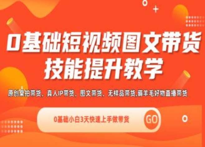 0基础短视频图文带货实操技能提升教学(直播课+视频课),0基础小白3天快速上手做带货-讯领网创