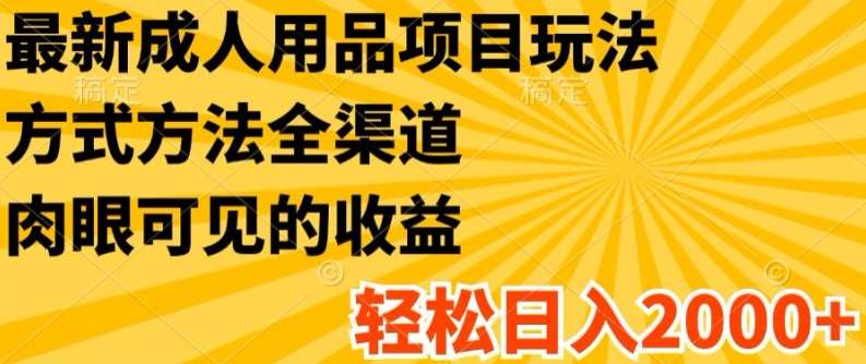 最新成人用品项目玩法，方式方法全渠道，轻松日入2K+【揭秘】-讯领网创