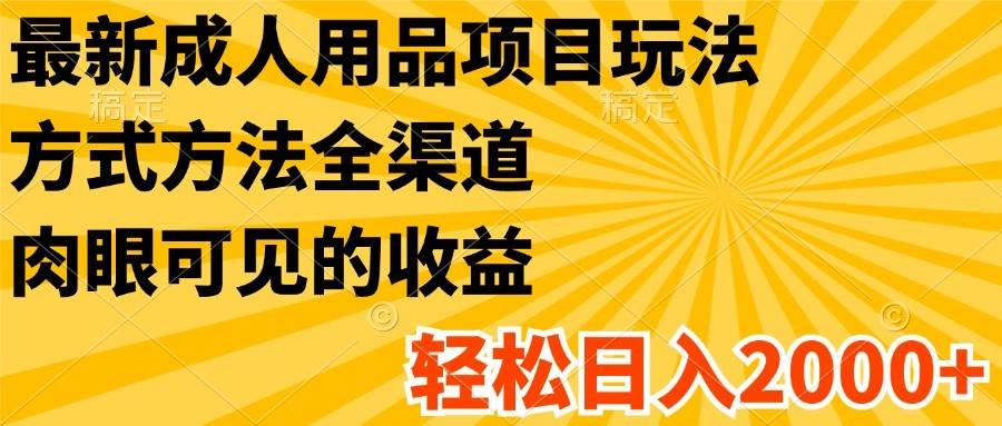 最新成人用品项目玩法，方式方法全渠道，肉眼可见的收益，轻松日入2000+-讯领网创