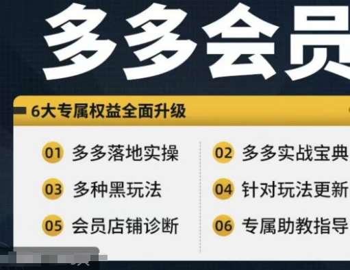 拼多多会员，拼多多实战宝典+实战落地实操，从新手到高阶内容全面覆盖-讯领网创