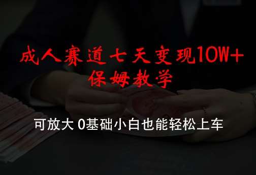 成人赛道七天变现10W+保姆教学，可放大，0基础小白也能轻松上车【揭秘】-讯领网创