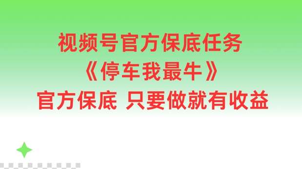 视频号官方保底任务，停车我最牛，官方保底只要做就有收益【揭秘】-讯领网创