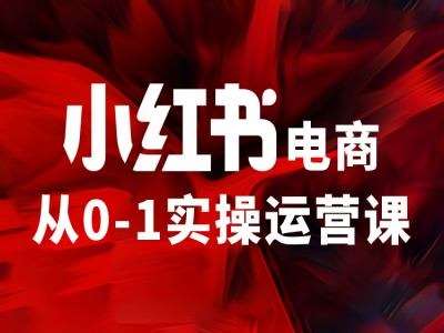 小红书电商从0-1实操运营课，让你从小白到精英-讯领网创