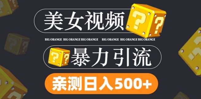 搬运tk美女视频全网分发，日引s粉300+，轻松变现，不限流量不封号【揭秘】-讯领网创