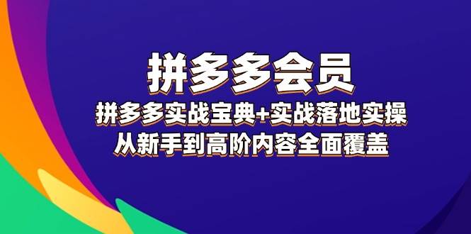 （12056期）拼多多 会员，拼多多实战宝典+实战落地实操，从新手到高阶内容全面覆盖-讯领网创