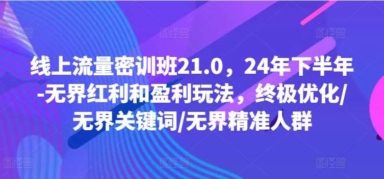 线上流量密训班21.0，24年下半年-无界红利和盈利玩法，终极优化/无界关键词/无界精准人群-讯领网创