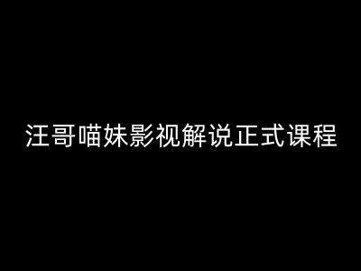 汪哥影视解说正式课程：剪映/PR教学/视解说剪辑5大黄金法则/全流程剪辑7把利器等等-讯领网创