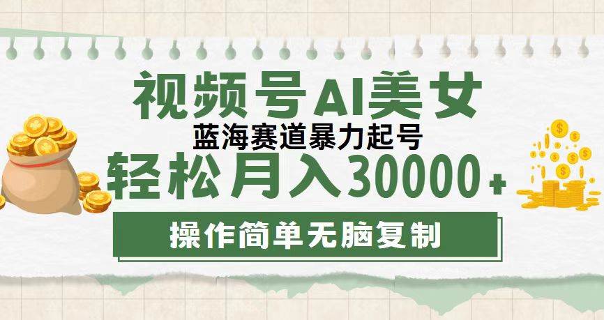 （12087期）视频号AI美女跳舞，轻松月入30000+，蓝海赛道，流量池巨大，起号猛，无…-讯领网创