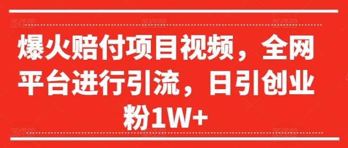 爆火赔付项目视频，全网平台进行引流，日引创业粉1W+【揭秘】-讯领网创