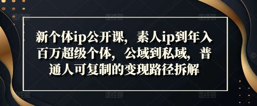 新个体ip公开课，素人ip到年入百万超级个体，公域到私域，普通人可复制的变现路径拆解-讯领网创