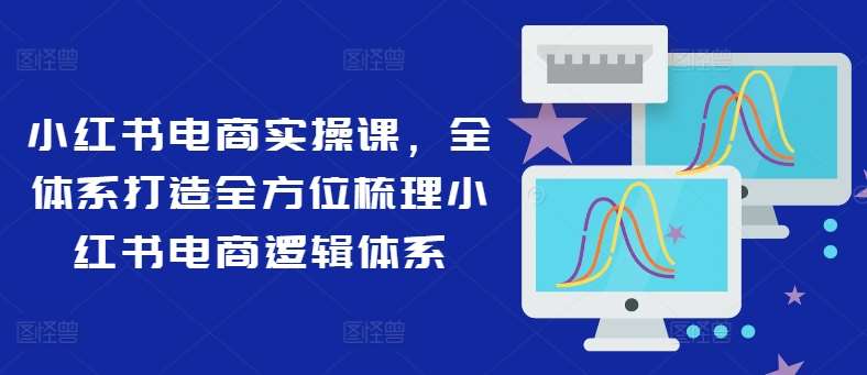 小红书电商实操课，全体系打造全方位梳理小红书电商逻辑体系-讯领网创