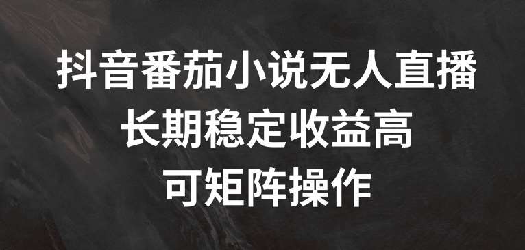 抖音番茄小说无人直播，长期稳定收益高，可矩阵操作【揭秘】-讯领网创