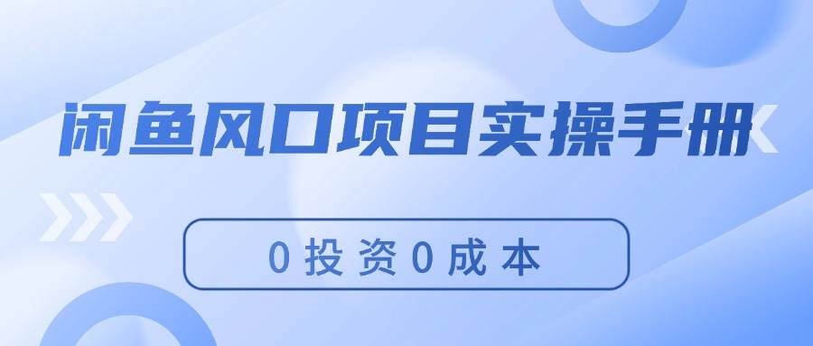 （11923期）闲鱼风口项目实操手册，0投资0成本，让你做到，月入过万，新手可做-讯领网创