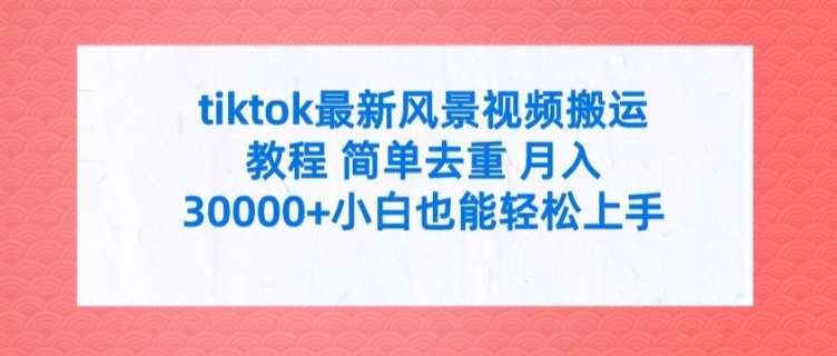 tiktok最新风景视频搬运教程 简单去重 月入3W+小白也能轻松上手【揭秘】-讯领网创