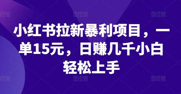 小红书拉新暴利项目，一单15元，日赚几千小白轻松上手【揭秘】-讯领网创