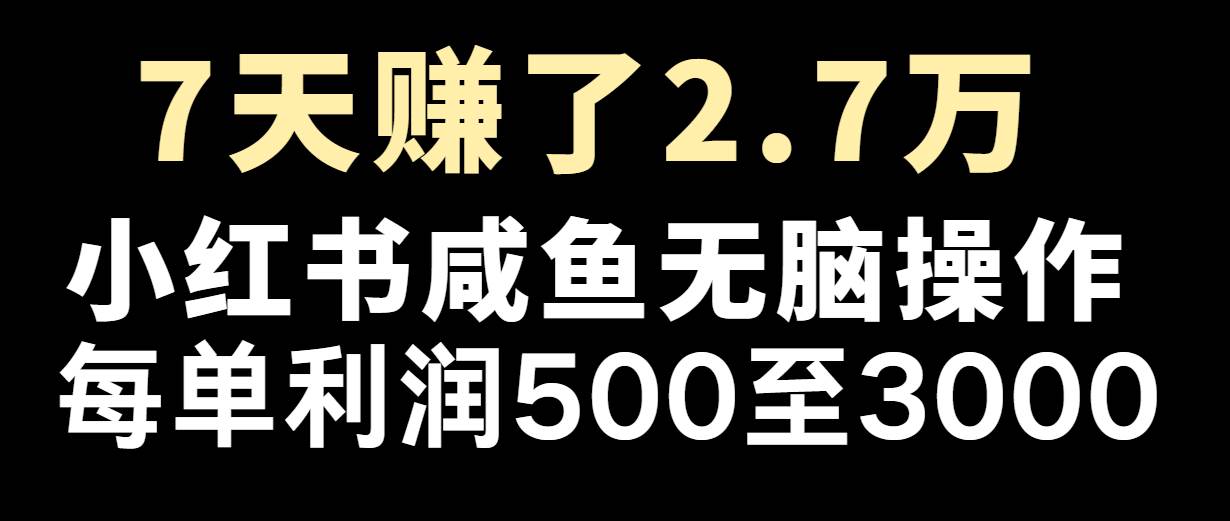 七天赚了2.7万！每单利润最少500+，轻松月入5万+小白有手就行-讯领网创