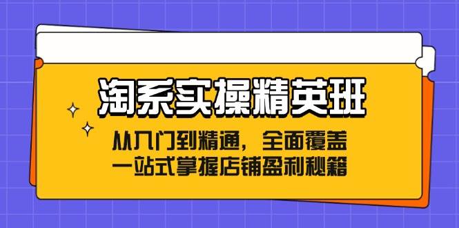 （12276期）淘系实操精英班：从入门到精通，全面覆盖，一站式掌握店铺盈利秘籍-讯领网创