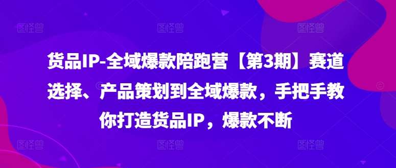 货品IP全域爆款陪跑营【第3期】赛道选择、产品策划到全域爆款，手把手教你打造货品IP，爆款不断-讯领网创