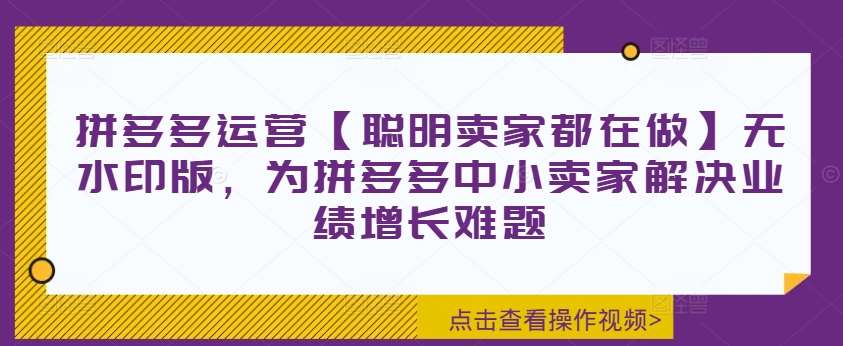 拼多多运营【聪明卖家都在做】无水印版，为拼多多中小卖家解决业绩增长难题-讯领网创