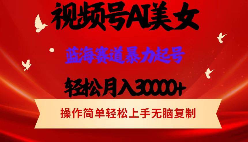 （12178期）视频号AI美女跳舞，轻松月入30000+，蓝海赛道，流量池巨大，起号猛，当…-讯领网创