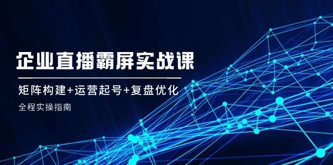 企业直播霸屏实战课：矩阵构建+运营起号+复盘优化，全程实操指南-讯领网创