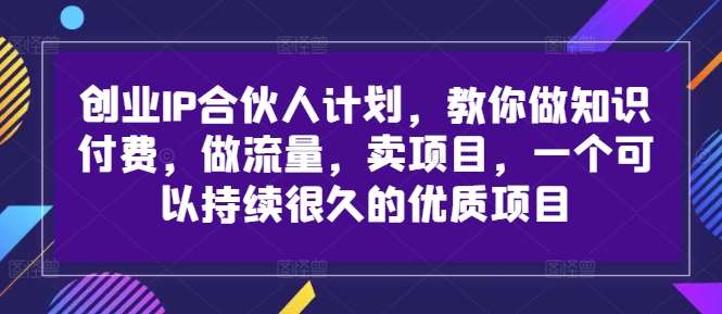 创业IP合伙人计划，教你做知识付费，做流量，卖项目，一个可以持续很久的优质项目-讯领网创