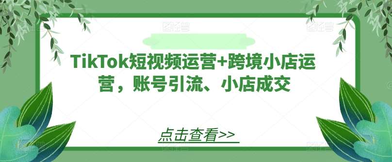 TikTok短视频运营+跨境小店运营，账号引流、小店成交-讯领网创