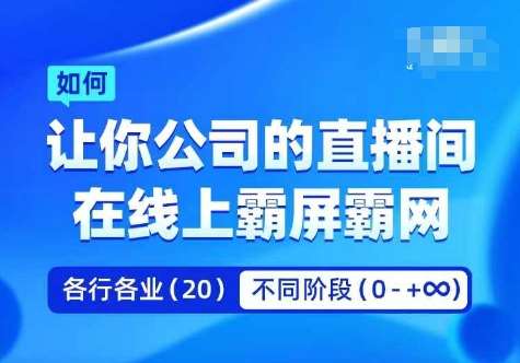 企业矩阵直播霸屏实操课，让你公司的直播间在线上霸屏霸网-讯领网创