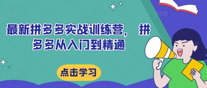 最新拼多多实战训练营， 拼多多从入门到精通-讯领网创