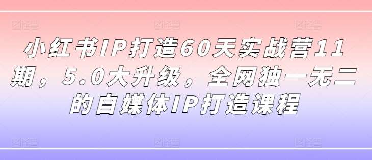 小红书IP打造60天实战营11期，5.0大升级，全网独一无二的自媒体IP打造课程-讯领网创