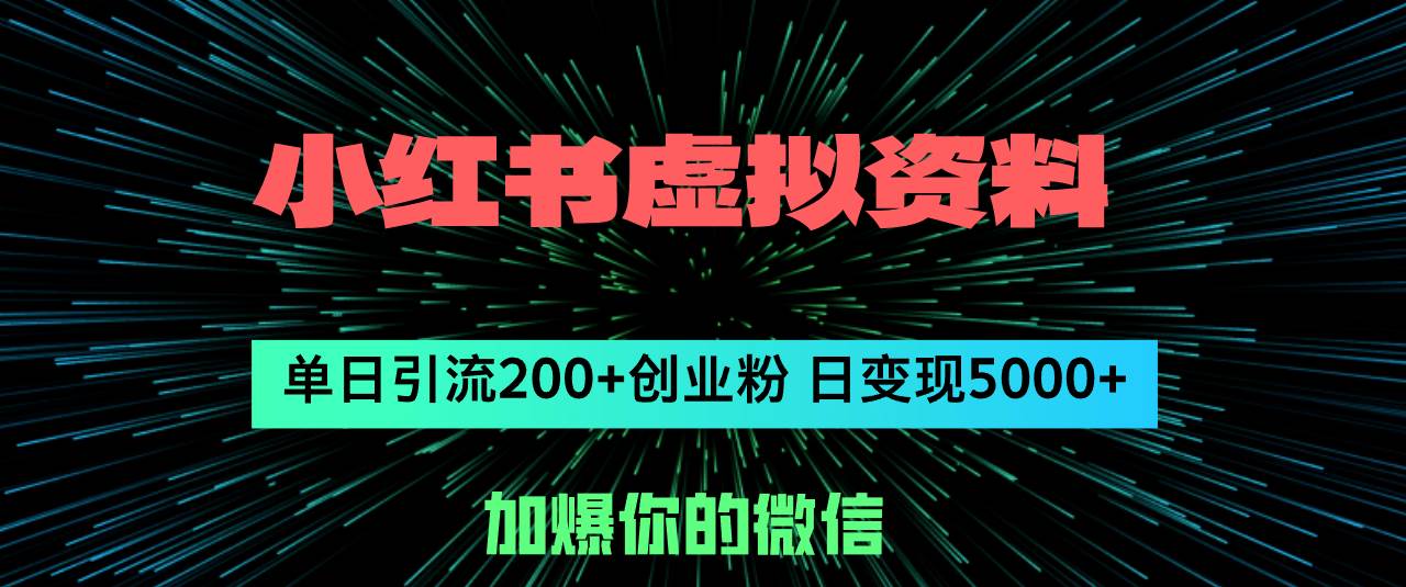 （12164期）小红书虚拟资料日引流200+创业粉，单日变现5000+-讯领网创