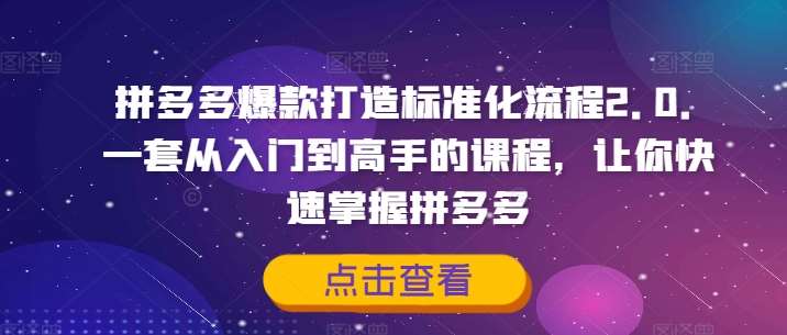 拼多多爆款打造标准化流程2.0，一套从入门到高手的课程，让你快速掌握拼多多-讯领网创