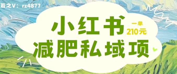 小红书减肥粉，私域变现项目，一单就达210元，小白也能轻松上手【揭秘】-讯领网创