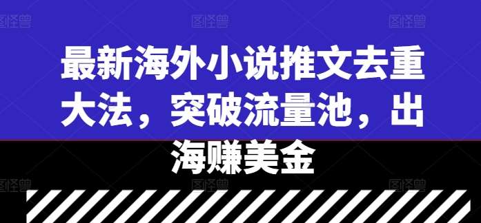 最新海外小说推文去重大法，突破流量池，出海赚美金-讯领网创