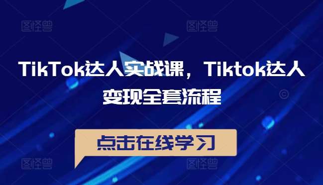 TikTok达人实战课，Tiktok达人变现全套流程-讯领网创