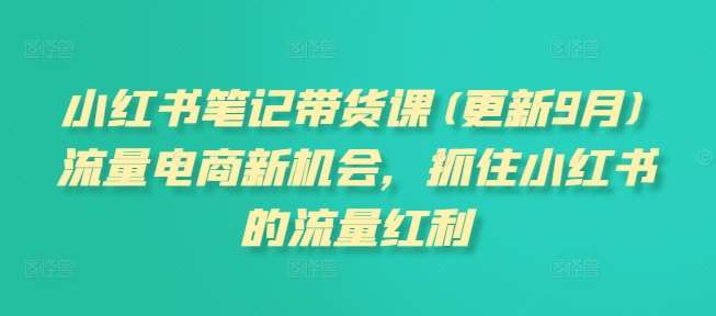 小红书笔记带货课(更新9月)流量电商新机会，抓住小红书的流量红利-讯领网创