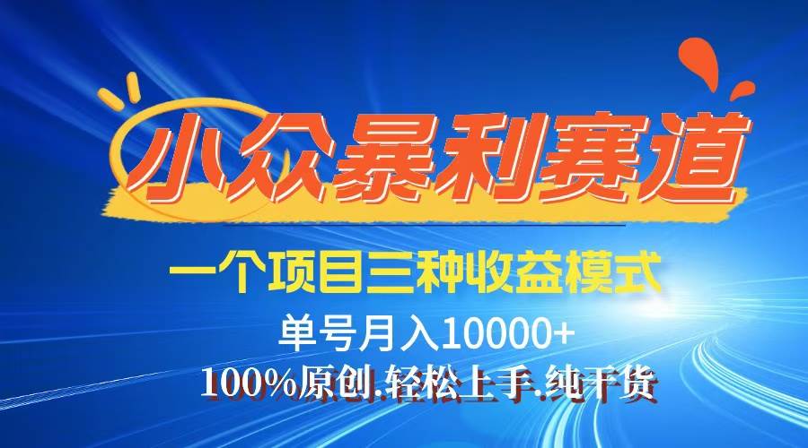 （12579期）【老人言】-视频号爆火赛道，三种变现方式，0粉新号调调爆款-讯领网创