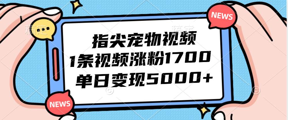 （12549期）指尖宠物视频，1条视频涨粉1700，单日变现5000+-讯领网创