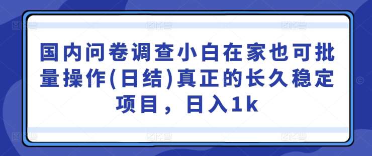 国内问卷调查小白在家也可批量操作(日结)真正的长久稳定项目，日入1k【揭秘】-讯领网创