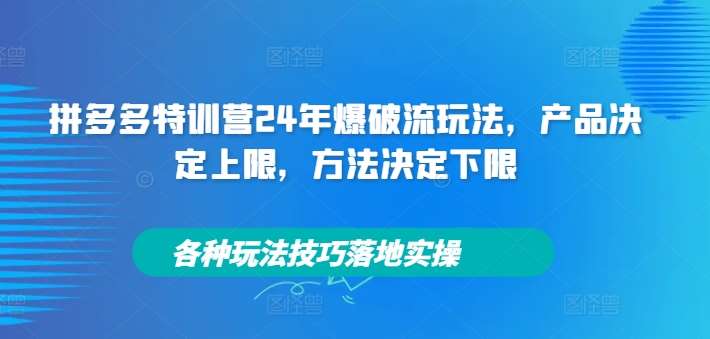 拼多多特训营24年爆破流玩法，产品决定上限，方法决定下限，各种玩法技巧落地实操-讯领网创