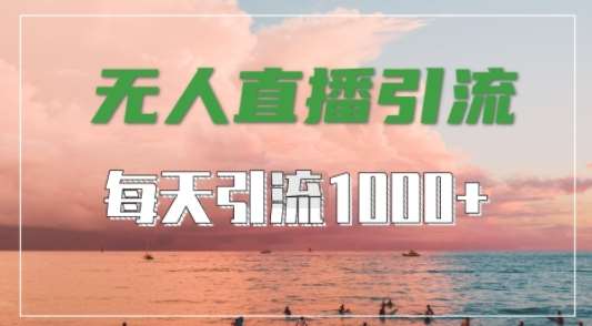 抖音快手视频号全平台通用，无人直播引流法，超暴力引流1000+高质量精准创业粉【揭秘】-讯领网创