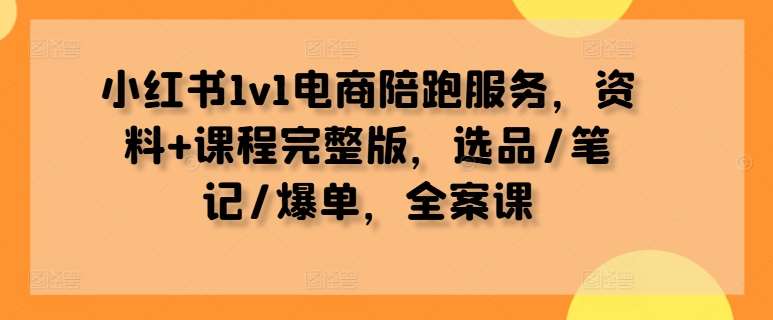 小红书1v1电商陪跑服务，资料+课程完整版，选品/笔记/爆单，全案课-讯领网创