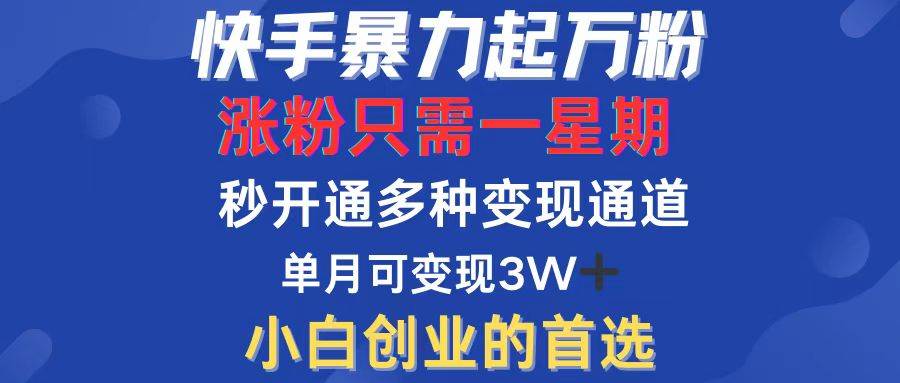 （12651期）快手暴力起万粉，涨粉只需一星期，多种变现模式，直接秒开万合，小白创…-讯领网创