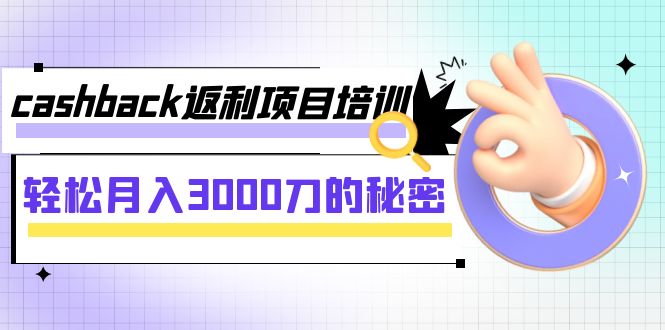 cashback返利项目培训：轻松月入3000刀的秘密（8节课）-讯领网创